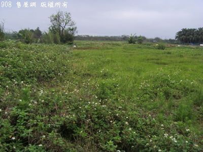 新坡田+建