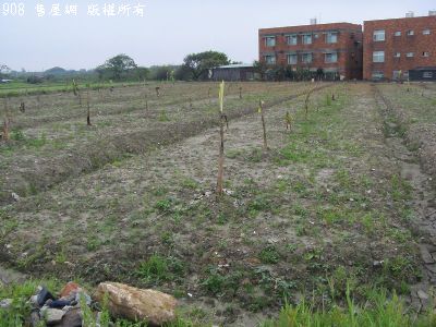 下田心子農地