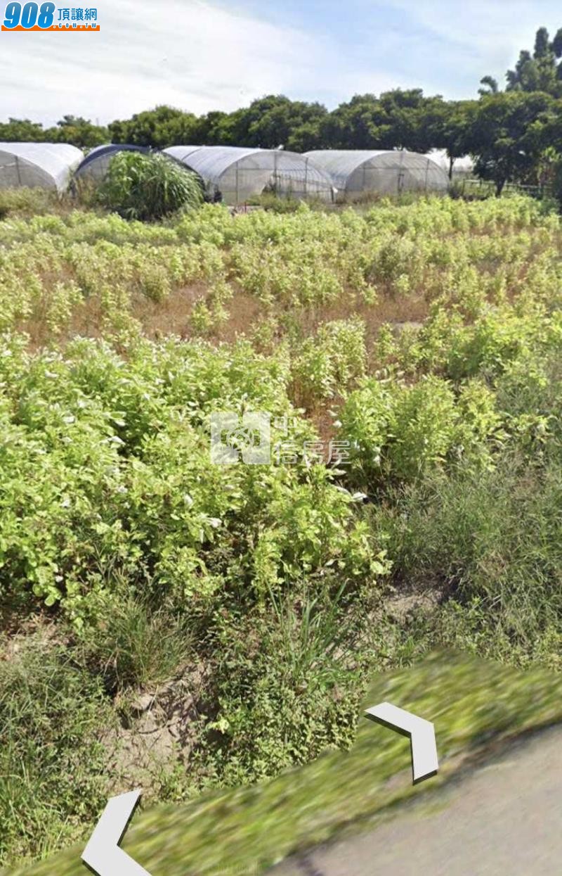 八德 新興路農地