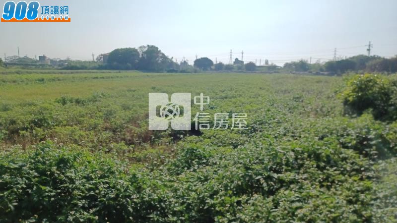 新屋馬場農地
