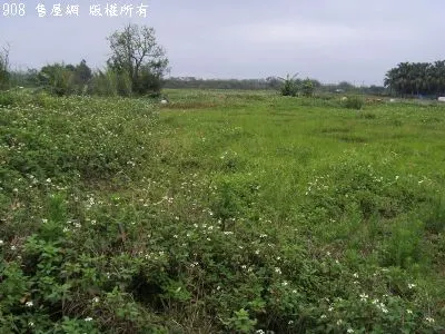 新坡田+建