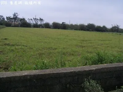 新屋市區農地