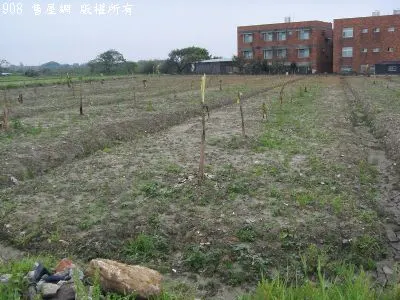 下田心子農地
