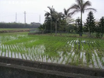 上田國小農地