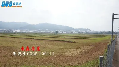 新社臨花海農地角地