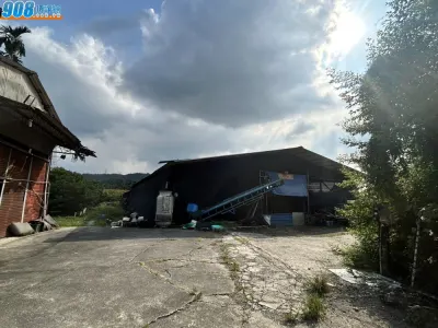 竹山紫南宮秀珍菇寮頂讓